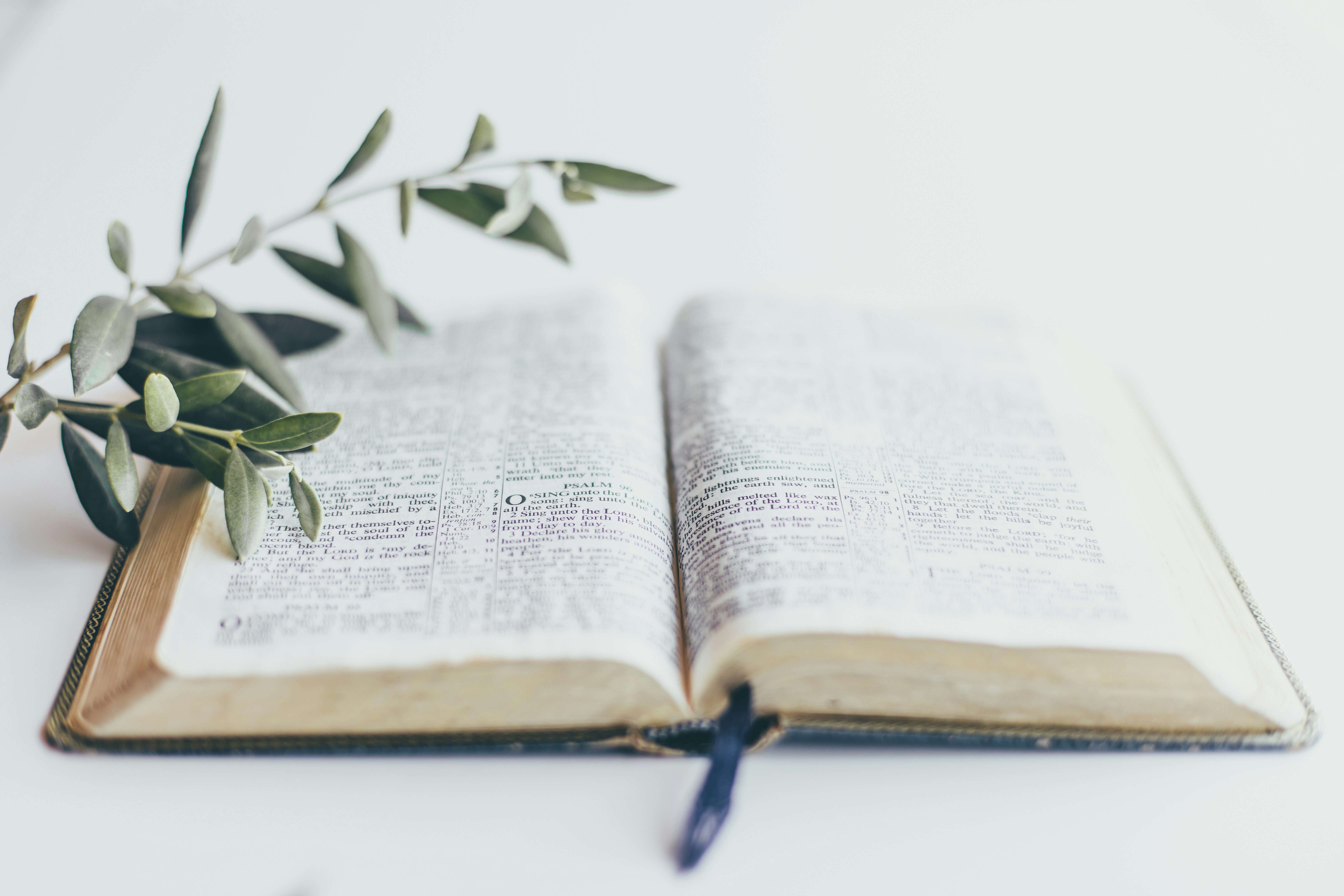 Bible